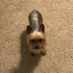 Meet your Posher, Deborah